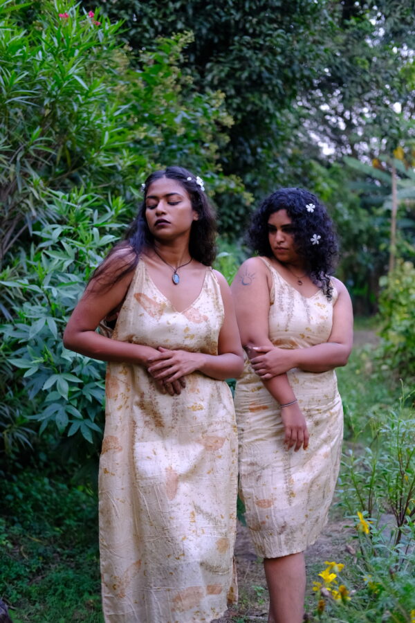 Forest - Image 5