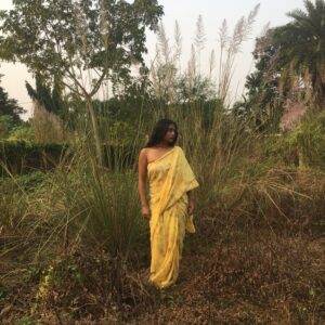 Basant saree